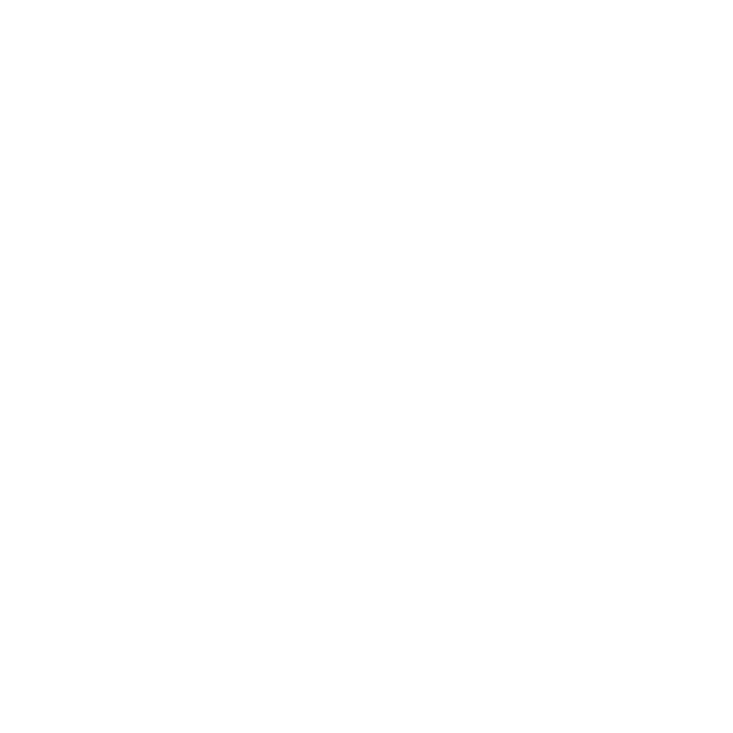 Dark Pro Tint logo